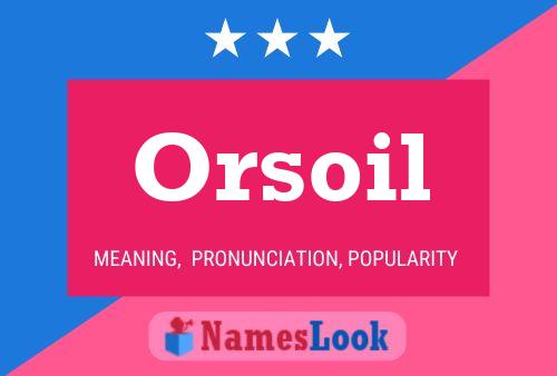 Orsoil Namensposter