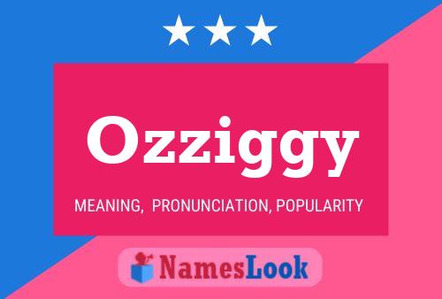 Ozziggy Namensposter