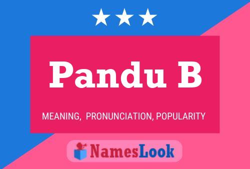 Pandu B Namensposter