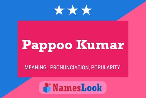 Pappoo Kumar Namensposter