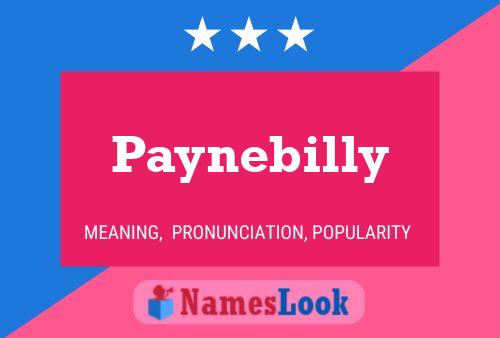 Paynebilly Namensposter