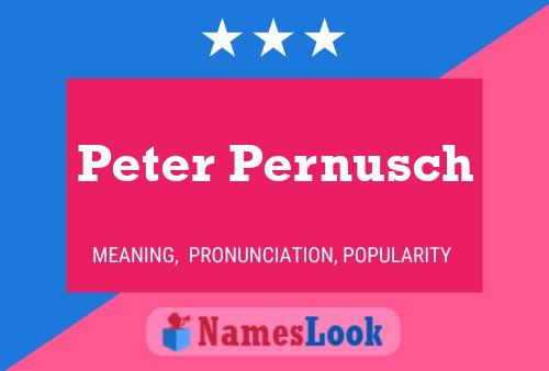 Peter Pernusch Namensposter