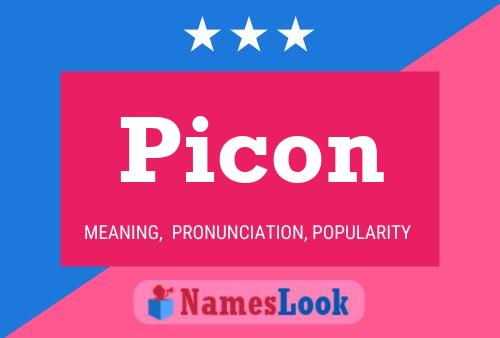 Picon Namensposter