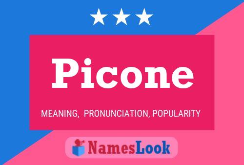 Picone Namensposter