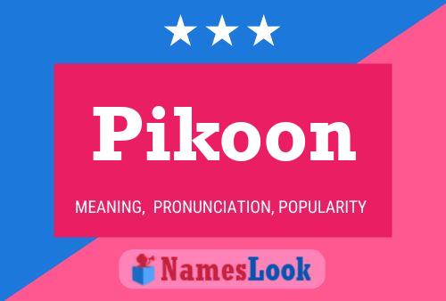 Pikoon Namensposter