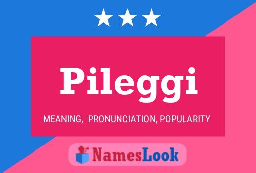 Pileggi Namensposter