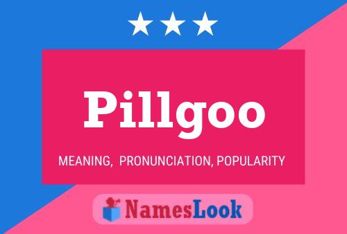 Pillgoo Namensposter