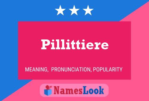 Pillittiere Namensposter