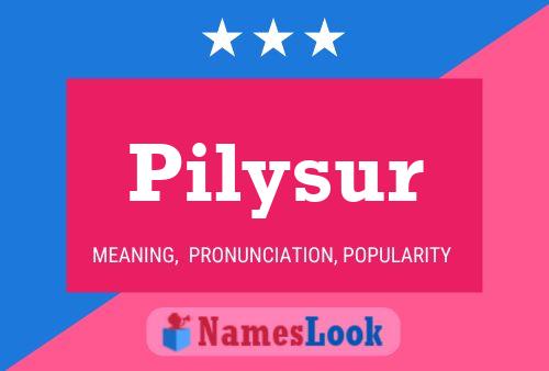 Pilysur Namensposter