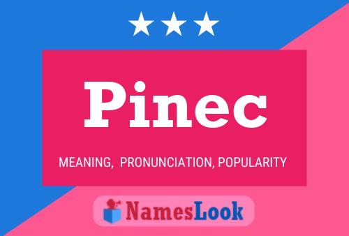 Pinec Namensposter