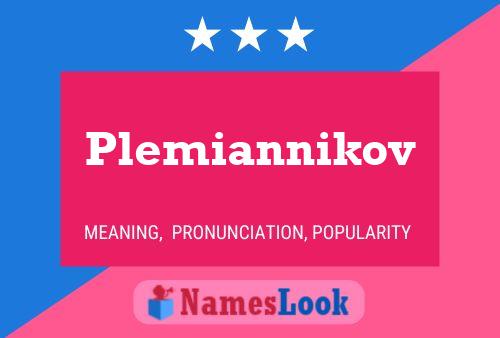 Plemiannikov Namensposter