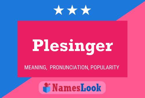 Plesinger Namensposter