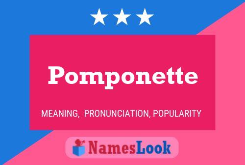 Pomponette Namensposter