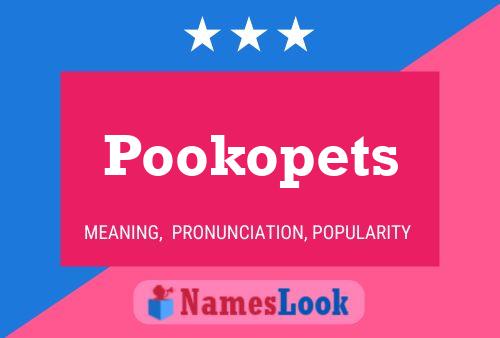 Pookopets Namensposter