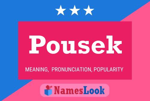 Pousek Namensposter