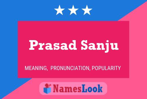 Prasad Sanju Namensposter