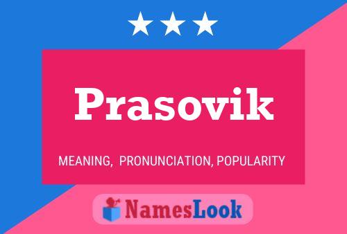 Prasovik Namensposter