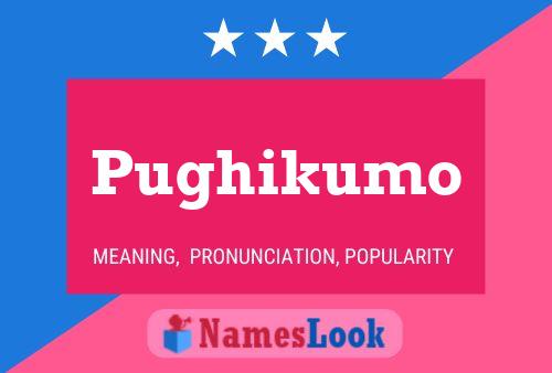 Pughikumo Namensposter