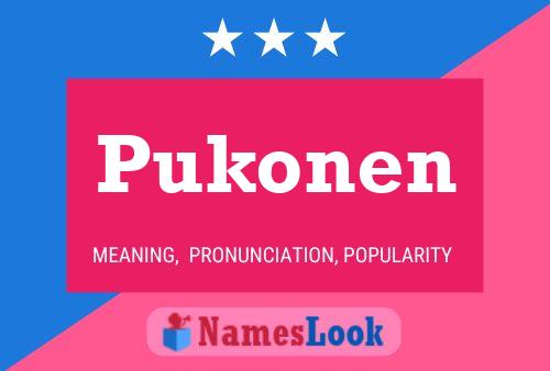 Pukonen Namensposter