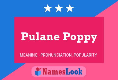 Pulane Poppy Namensposter