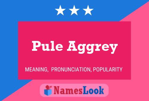 Pule Aggrey Namensposter