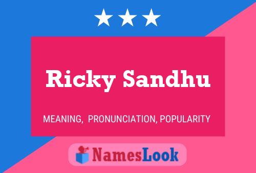 Ricky Sandhu Namensposter