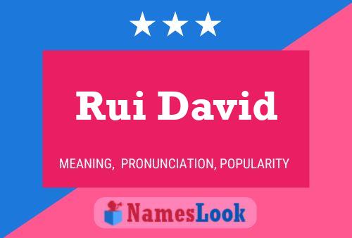 Rui David Namensposter