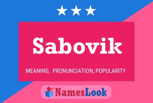 Sabovik Namensposter