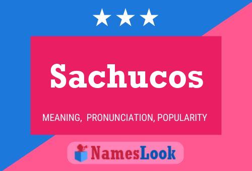 Sachucos Namensposter