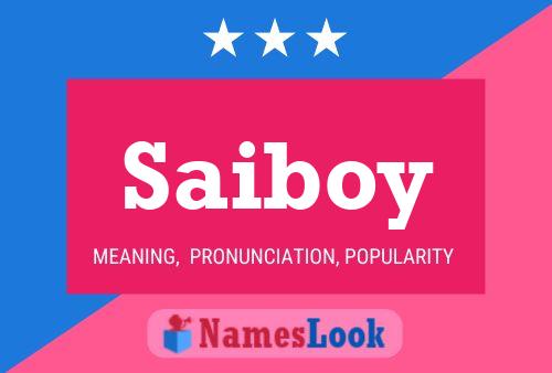 Saiboy Namensposter