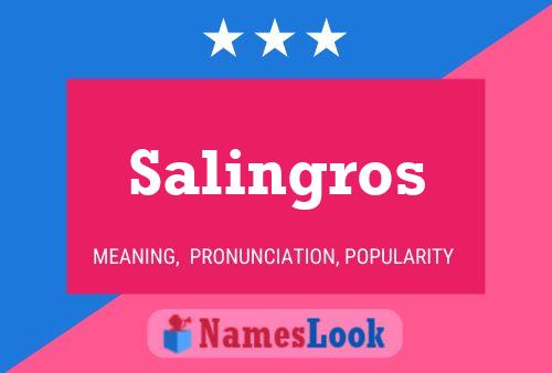 Salingros Namensposter