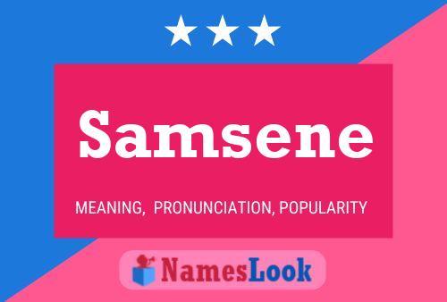 Samsene Namensposter