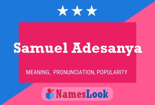 Samuel Adesanya Namensposter