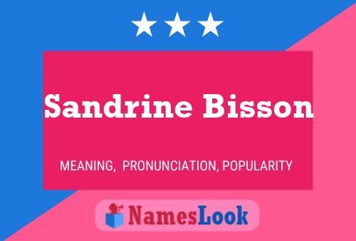 Sandrine Bisson Namensposter