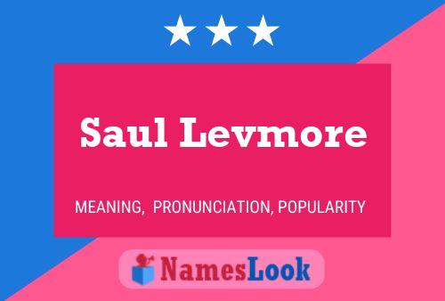 Saul Levmore Namensposter