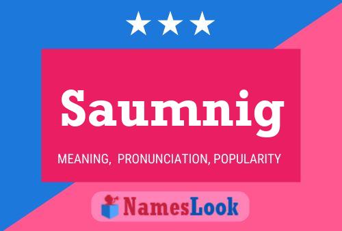 Saumnig Namensposter