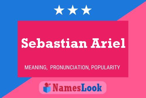 Sebastian Ariel Namensposter