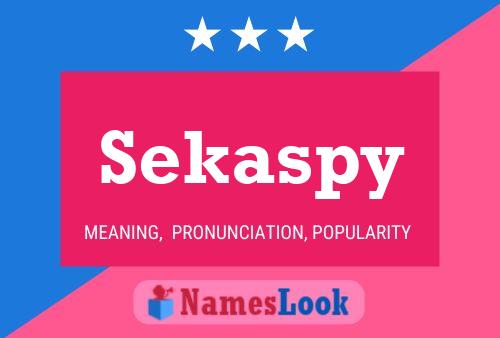 Sekaspy Namensposter