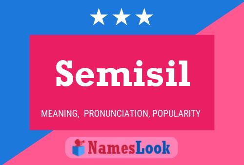 Semisil Namensposter