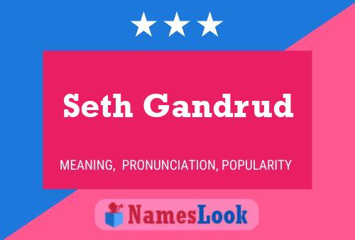 Seth Gandrud Namensposter