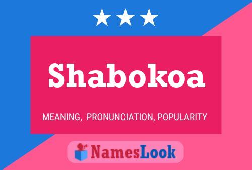 Shabokoa Namensposter