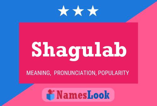 Shagulab Namensposter