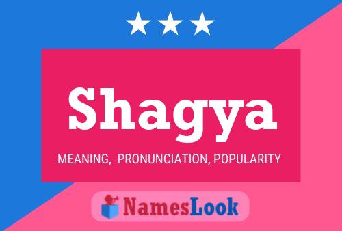 Shagya Namensposter