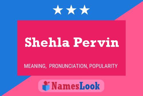 Shehla Pervin Namensposter