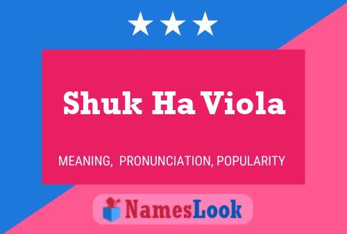 Shuk Ha Viola Namensposter