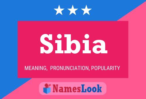 Sibia Namensposter