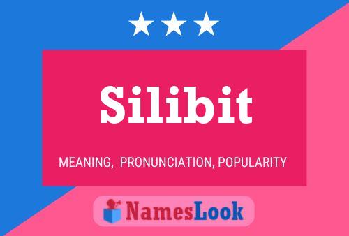 Silibit Namensposter