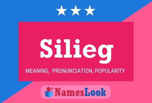 Silieg Namensposter