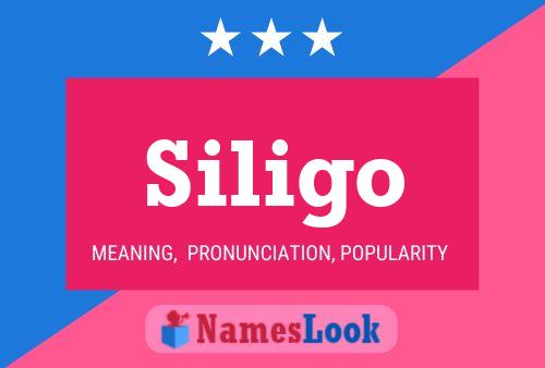 Siligo Namensposter