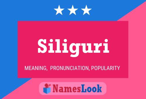 Siliguri Namensposter